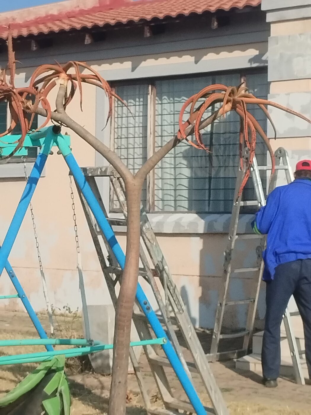 Professional on a ladder prepping a residential exterior wall for painting.